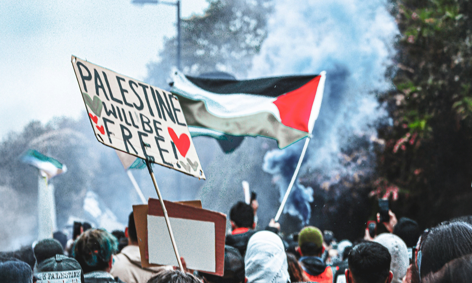 Fotografia z protestu s davom ľudí, palestínskou vlajkou a transparentom 
